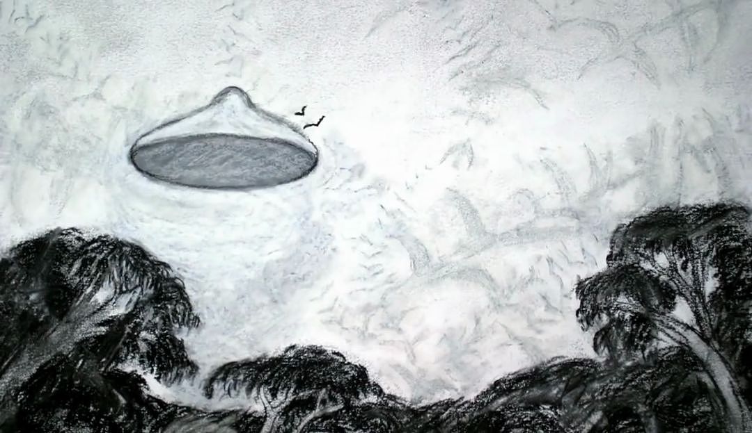 澳洲最诡异的一天！ 数百人看到了UFO，政府却说他们都疯了…（组图） - 45