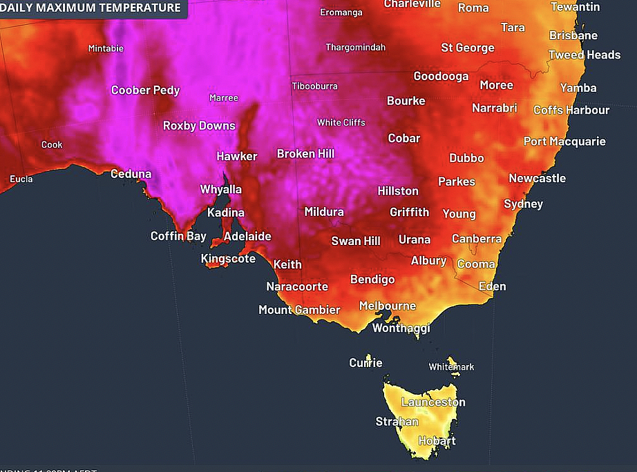 比往年均值高出16度！热浪席卷澳洲，多地高温纪录或被打破（组图） - 4
