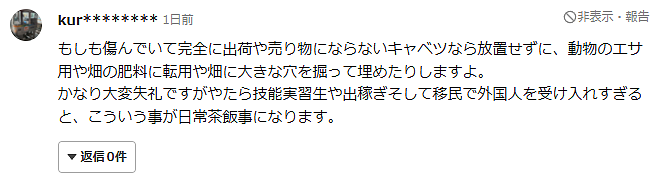 华人大妈在日本菜地涉嫌偷窃45颗卷心菜！被捕时称：“以为不要了才捡了起来…”（组图） - 5