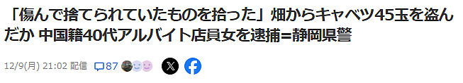 华人大妈在日本菜地涉嫌偷窃45颗卷心菜！被捕时称：“以为不要了才捡了起来…”（组图） - 1