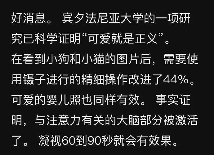 【宠物】小姐姐远远看到一只大烤鸭掉地上，走近看吓一跳，它居然“复活”了...（组图） - 24