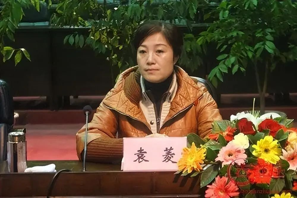 美女贪官袁菱，白天捞票子晚上脱裤子，敛财4052万！“通吃”求她办事的帅哥，结果如何...（组图） - 8