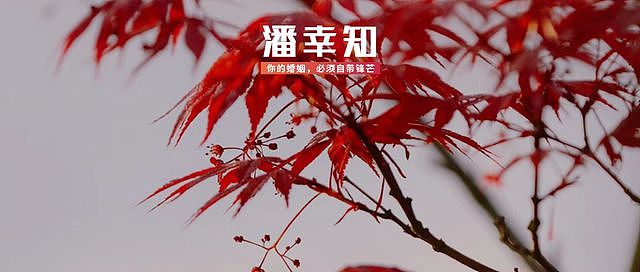 “正人君子”老公pua成瘾，爱妻人设都是假的！（组图） - 4