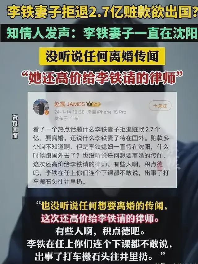 李铁背后的女人龙菲：火线离婚，拒不还钱，是李铁贪腐案关键人物（组图） - 12