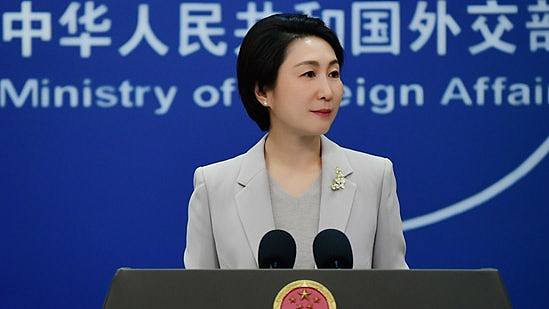 中国外交部回应美国大蒜禁令：大蒜做梦都想不到能对美国构成极大威胁（图） - 1