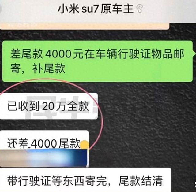 46万理想电车行驶途中突然熄火！“刹车没有反应，车门打不开”，客户服务中心：系统升级（组图） - 4