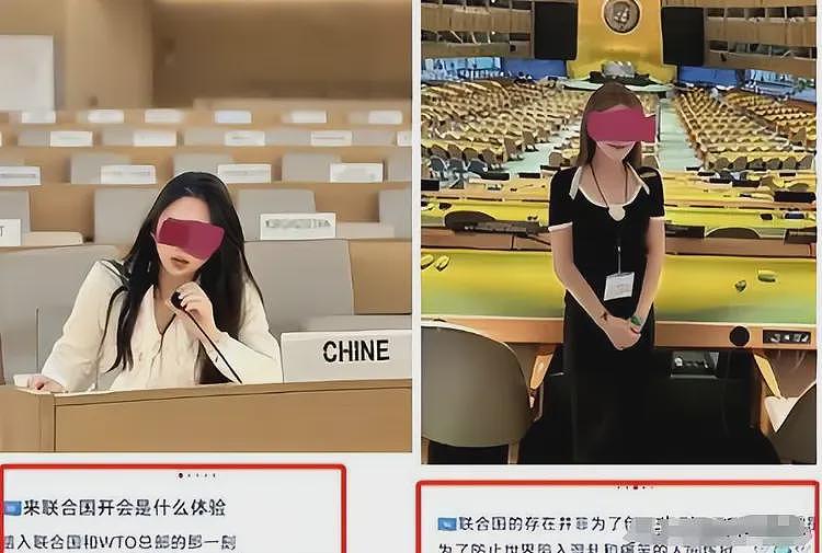 嫁给阿联酋王子的联合国假名媛们，正在删号退网……（组图） - 2