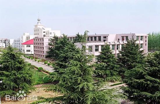 山东临沂大学四位师生出车祸身亡，学校回应（组图） - 4