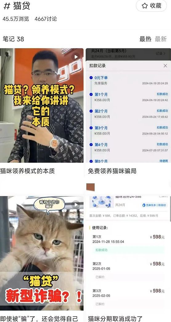 上海女子在商场免费领养小猫背＂猫贷＂ 要花近2万元，卖家称很划算，网友吵翻（组图） - 7