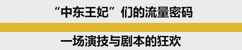 嫁给阿联酋王子的联合国假名媛们，正在删号退网……（组图） - 3