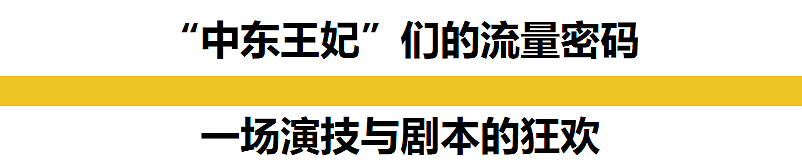 嫁给阿联酋王子的联合国假名媛们，正在删号退网…（组图） - 3