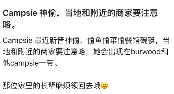 悉尼华人大妈被指在超市偷菜，监控记录曝光！网友：是惯犯吧（组图） - 3