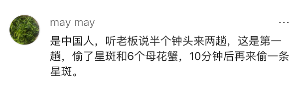 悉尼华人大妈被指在超市偷菜，监控记录曝光！网友：是惯犯吧（组图） - 20