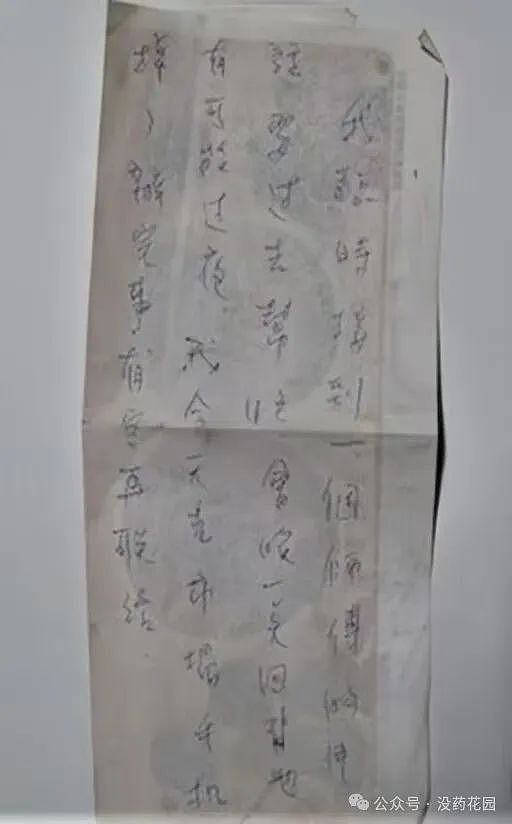 蔡京京弑母案：男子假冒哈佛毕业生，婚后挑拨富二代妻子谋杀岳母，嫁祸岳父…（组图） - 10