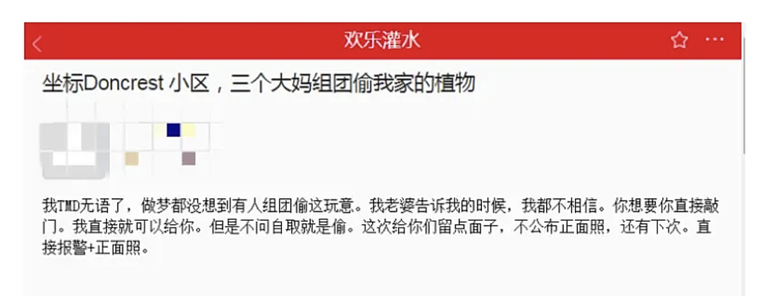 太丢脸啦！悉尼华人大妈在超市偷菜，被监控记录曝光！这些年大妈把国人的脸丢完了...（组图） - 25