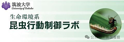 日本未来天皇走后门失败，痛失东大资格！改读母校本部大学，校长如临大敌被难搞太子妈狂折腾（组图） - 5