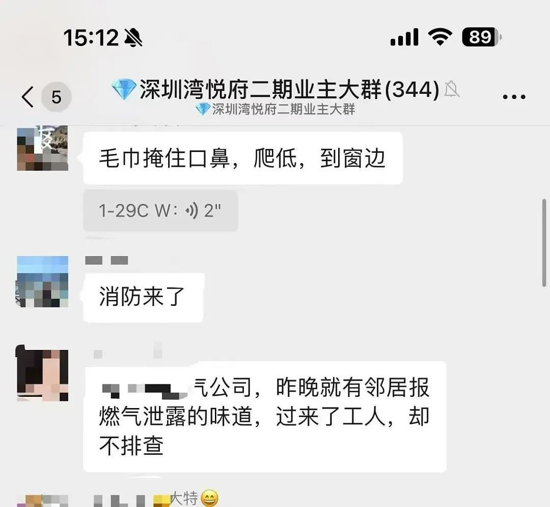 深圳豪宅爆炸，高层住宅彻底沦为笑话！（组图） - 3