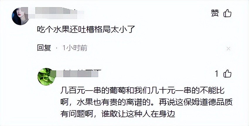 杜淳老婆发长文吐槽保姆偷吃水果被骂翻，网友：为啥越有钱的人越计较（组图） - 15