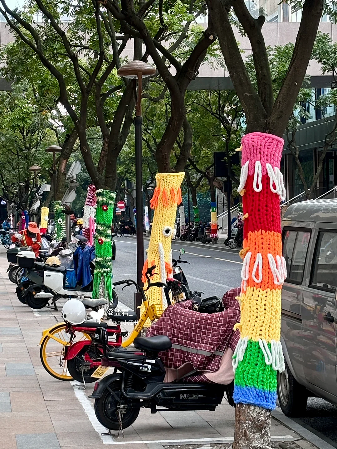 雷军掀“大树时装周”热潮！各地给树穿新衣，设计花样百出！网友：色彩缤纷的冬天，挺好！（组图） - 14