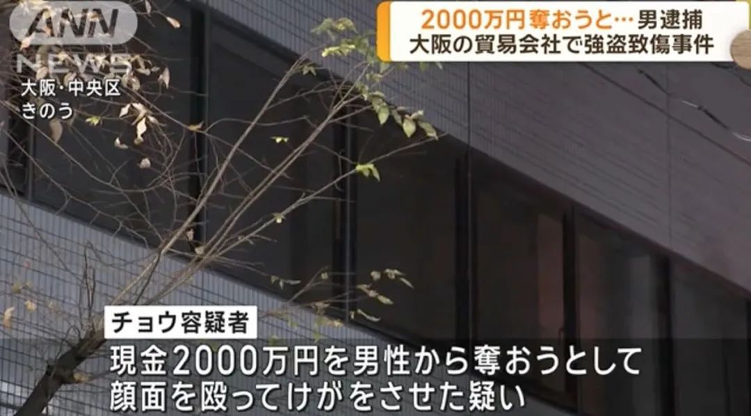 震惊日本华人圈！中国籍男子大阪抢劫2000万，暴力袭击公司高管（组图） - 5