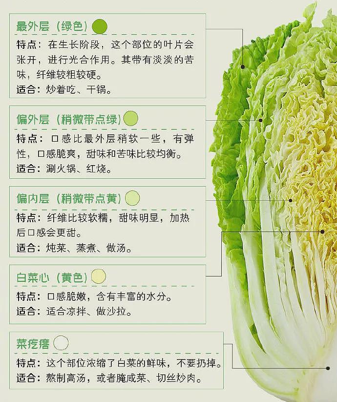 冬天吃“大白菜”的理由，这两个就够了（组图） - 5