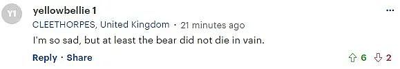 猎人把熊赶到树上射杀，结果却被掉下来的熊砸死？网友：真是报应...（组图） - 8