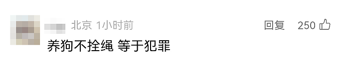 触目惊心！母女公园散步突遭4条大型犬撕咬，母亲全身10余处伤口，最深处已见骨头！警方通报（组图） - 8