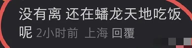 吴奇隆刘诗诗离婚后续：业内人曝他俩不官宣原因，路人晒新图透露内幕（组图） - 8