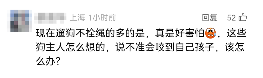 触目惊心！母女公园散步突遭4条大型犬撕咬，母亲全身10余处伤口，最深处已见骨头！警方通报（组图） - 12