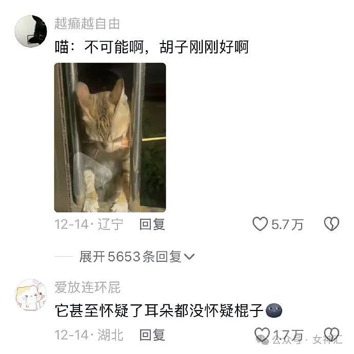 【爆笑】男朋友出差和5个女朋友约会？私底下还在当男模？网友：全国巡回男友（视频/组图） - 5