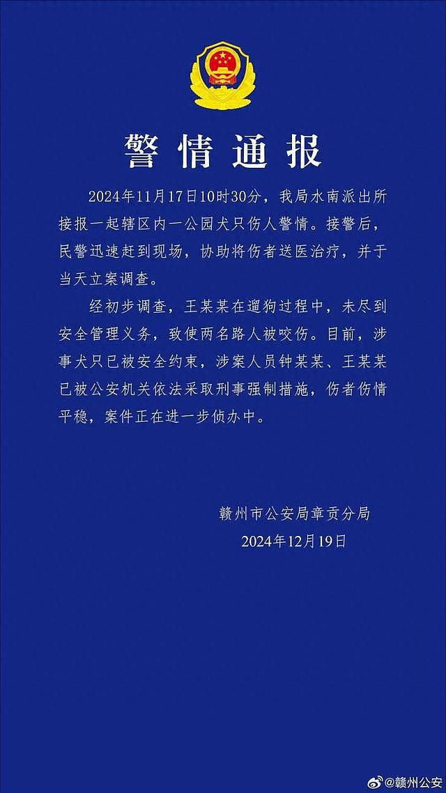 “伤口深可见骨“！母女逛公园遭4条大型犬围攻撕咬，犬主人赔3.2万（组图） - 1