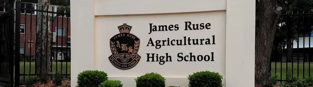 悉尼华人之光！James Ruse华女学霸拿下9科Band 6，校长都忍不住夸爆她了（组图） - 4