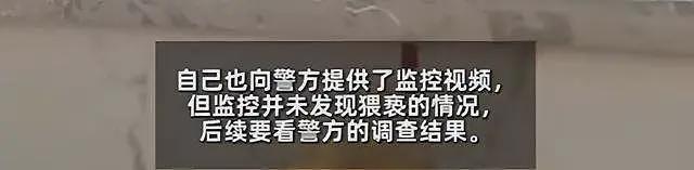 女服务员入职饭店一周被老板堵厕所摸胸猥亵？老板喊冤：不是我（视频/组图） - 5