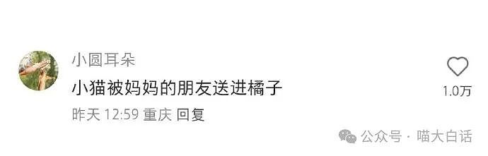 【爆笑】“兄弟给我发了不太对劲的信息？？”哈哈哈哈哈这个世界不直的！（组图） - 52