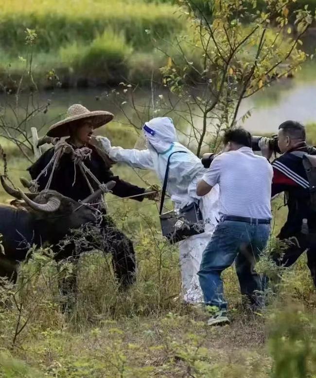 被美国人的报告打脸了！三年口罩，戴了个寂寞（组图） - 1