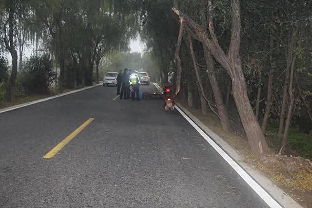 断裂树枝悬挂马路上方，54岁女子骑车撞上不幸身亡！交警认定死者主责，当地政府次责，双方均有异议（组图） - 1