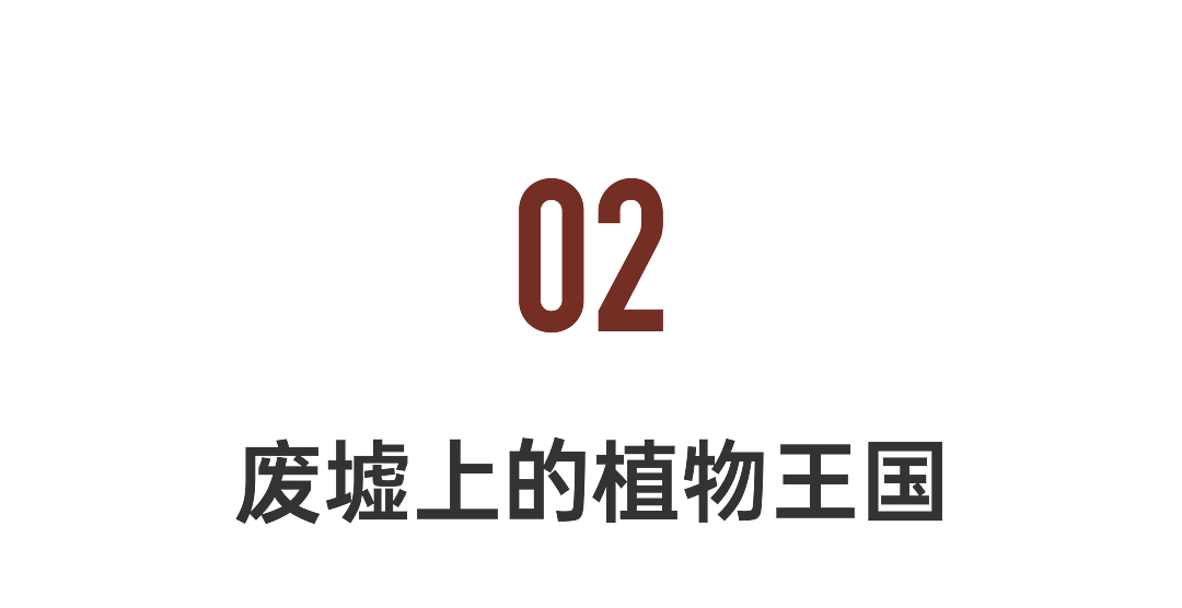 中国最牛钉子户：自建9层楼，打官司也不搬（组图） - 23