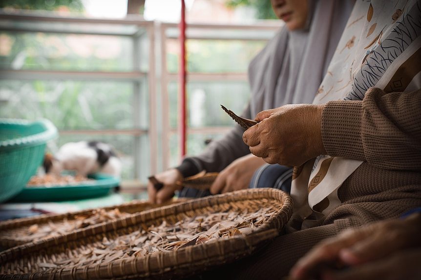 印度洋大海啸20周年纪：幸存者难以忘却的记忆（组图） - 13