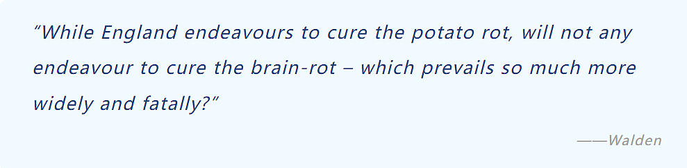 2024 牛津年度词汇揭晓！“brain rot”说的是你吗？（组图） - 2