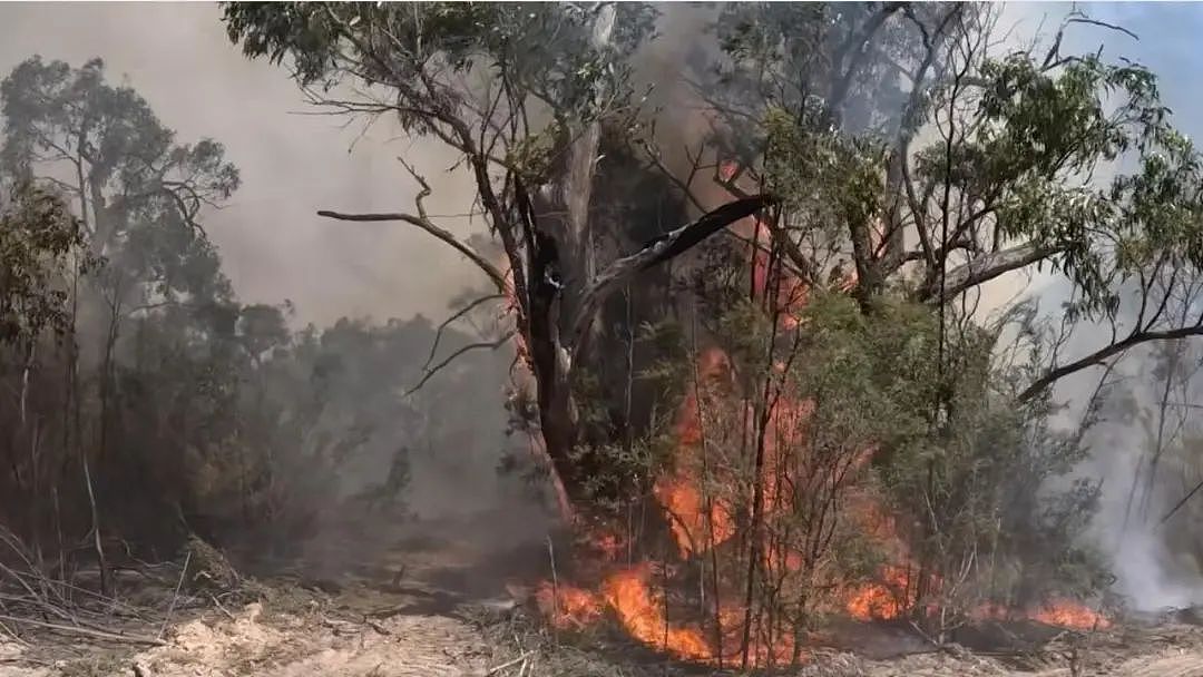 灾难性警告！墨尔本这两天：世界末日即视感！澳洲多地进入极端模式（组图） - 3