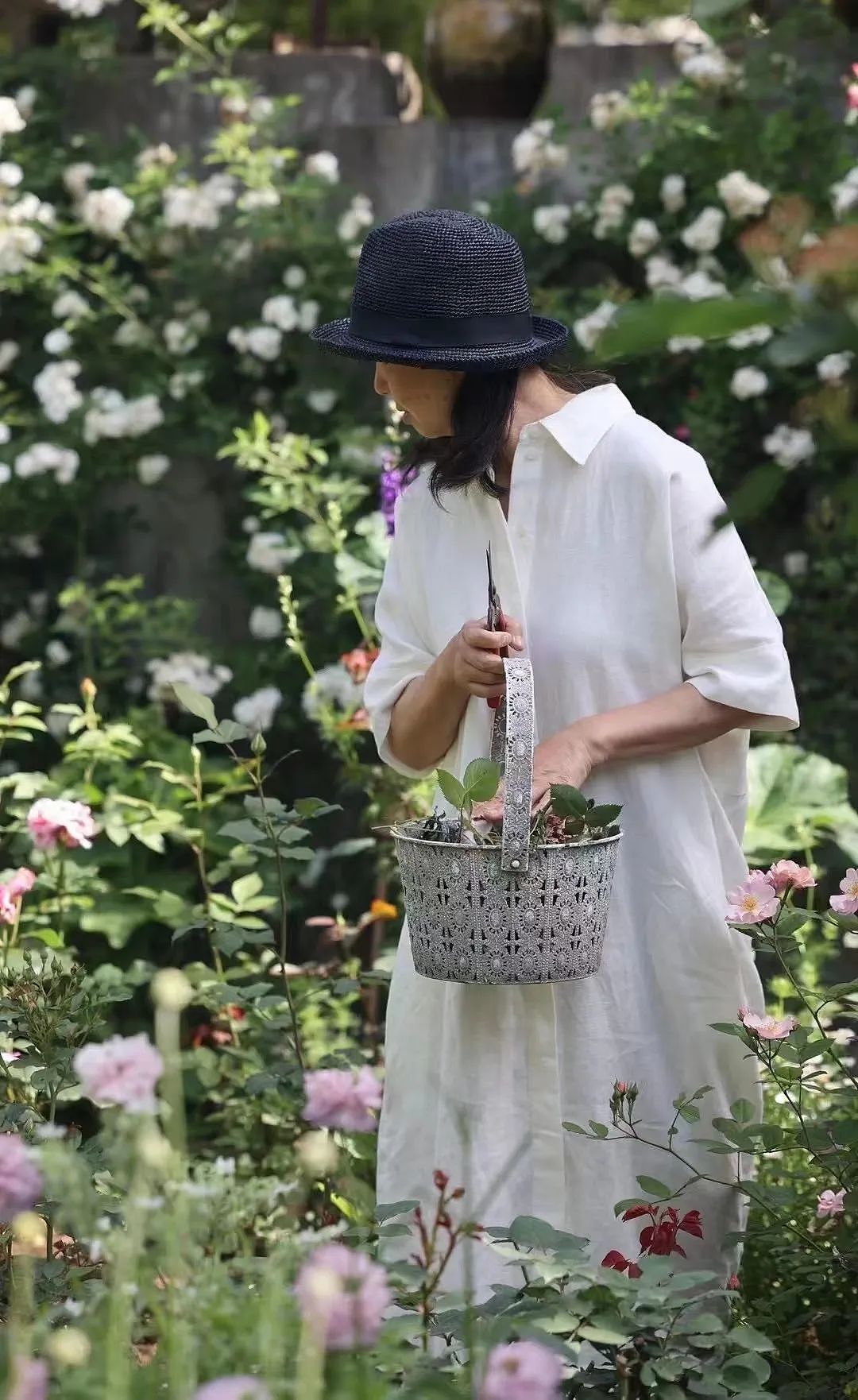 安徽女教师花20年，将“莫奈花园”搬到中国，看她的朋友圈不止是羡慕...（组图） - 42