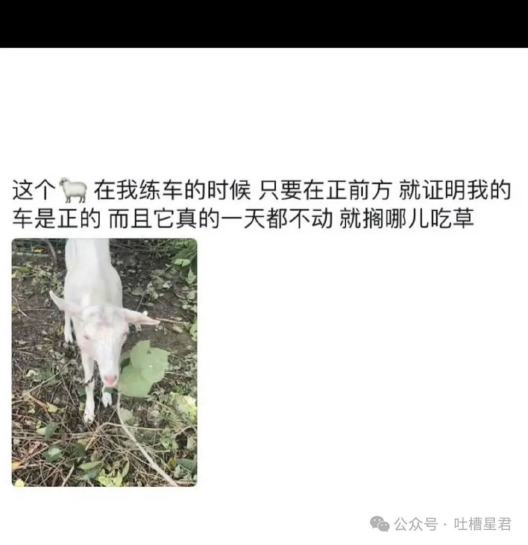 【爆笑】用父母手机暧昧聊天被发现后…爸爸：你要毁了这个家吗（组图） - 82