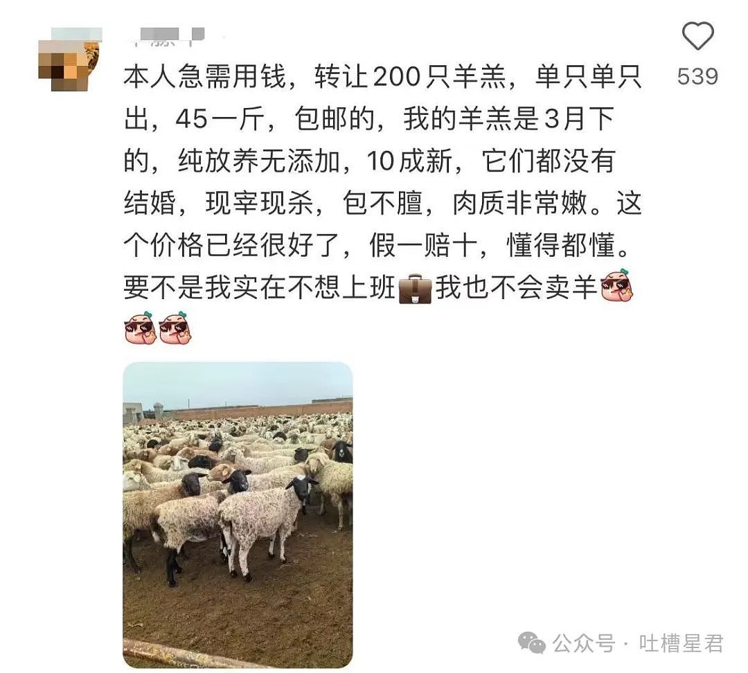 【爆笑】用父母手机暧昧聊天被发现后…爸爸：你要毁了这个家吗（组图） - 56