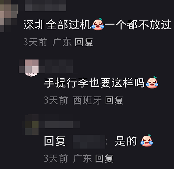 严查！华人回国刚落地行李就被锁？年关将至，这些东西一定要注意...（组图） - 7