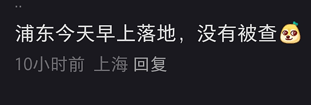 严查！华人回国刚落地行李就被锁？年关将至，这些东西一定要注意...（组图） - 13