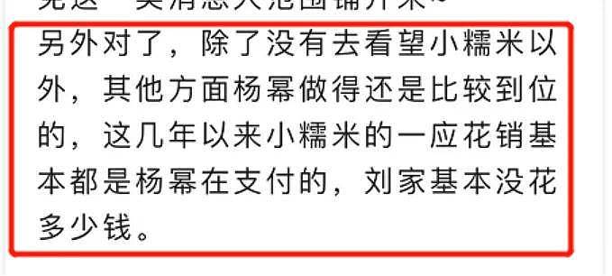 “夫妻本是同林鸟“，但离婚6年的刘恺威，杨幂也...（组图） - 15