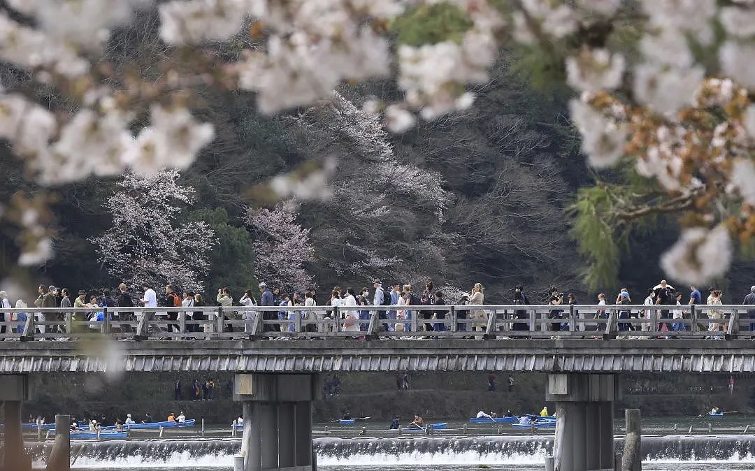 日本，怎么就成了江浙沪打工人的后花园？（组图） - 8