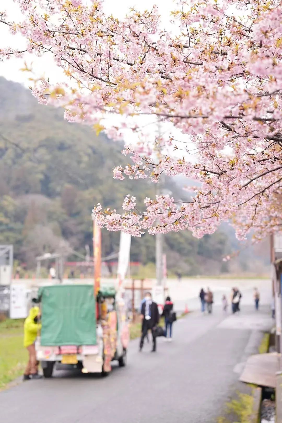 日本，怎么就成了江浙沪打工人的后花园？（组图） - 15