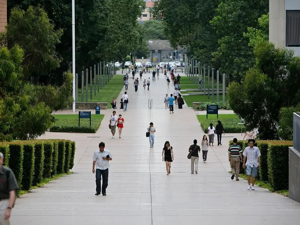 注意啦！澳洲大学ATAR录取分数线公布，新州超4万名学生结果公布啦（组图） - 3