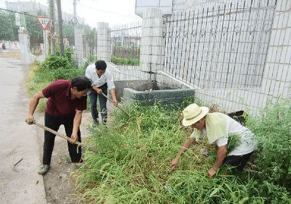 搞“人草大战”面子工程！要求主干道旁杂草限高10cm，河南信阳副市长等9人被处理（视频/组图） - 1